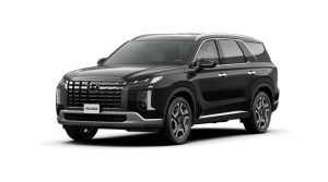 NEW PALISADE