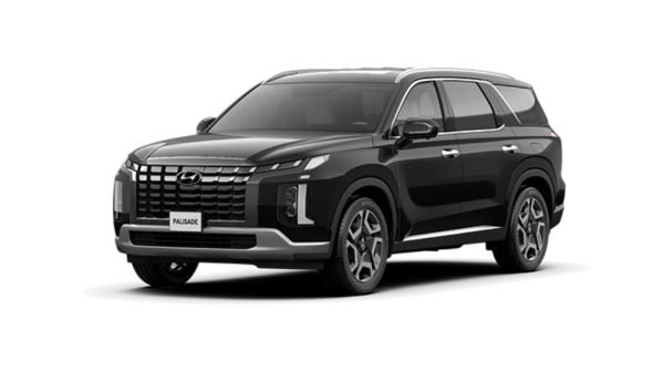 NEW PALISADE